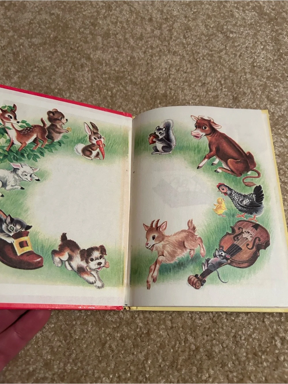 Hide-Away Animals Rand McNally children’s book